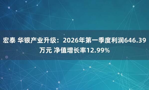宏泰 华银产业升级：2026年第一季度利润646.39万元 净值增长率12.99%